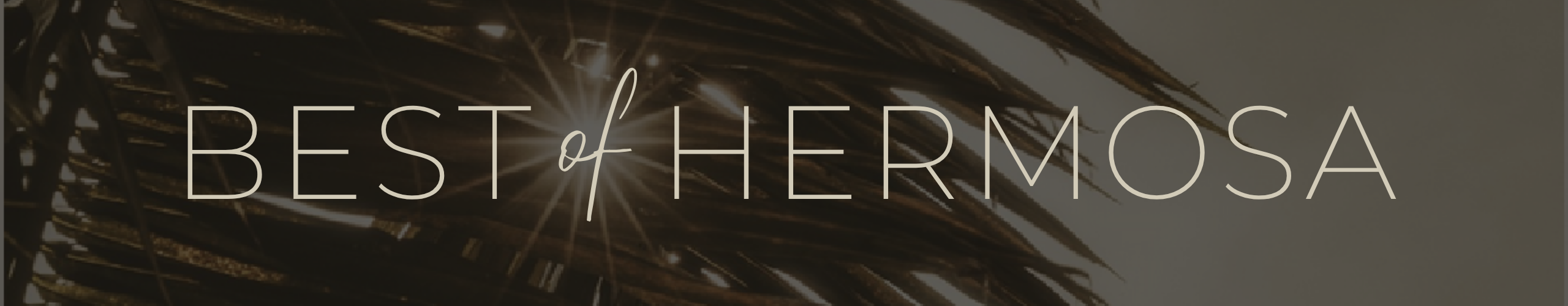 BOH_web header