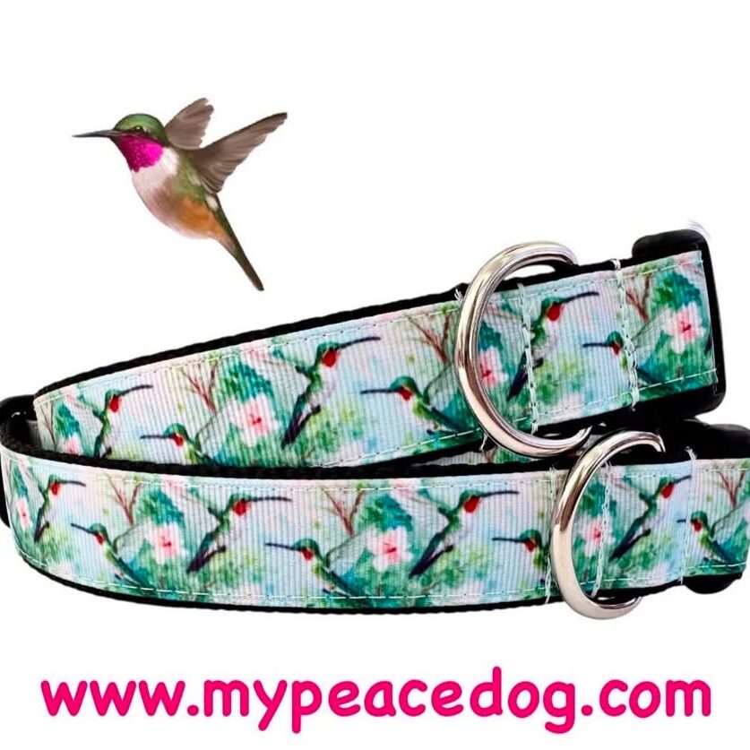 peace-dog